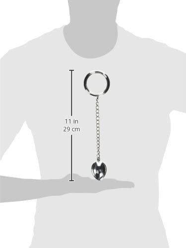 Master Series Stainless Steel Cock Ring and Anal Plug